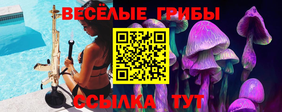 Торжок  Псилоцибиновые грибы GOLDEN TEACHER  дарнет шоп  Галлюциногенные грибы мицелий  Вход с VPN 